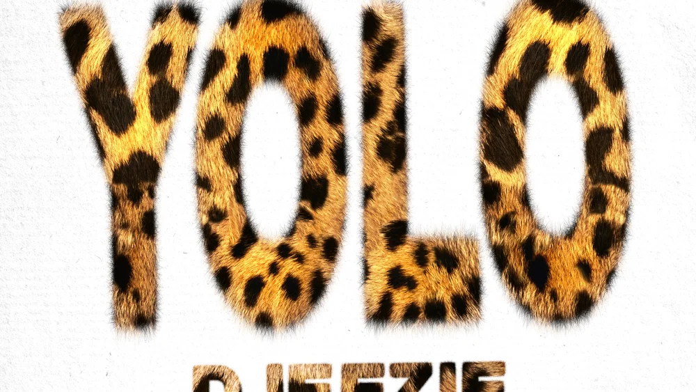 YOLO background