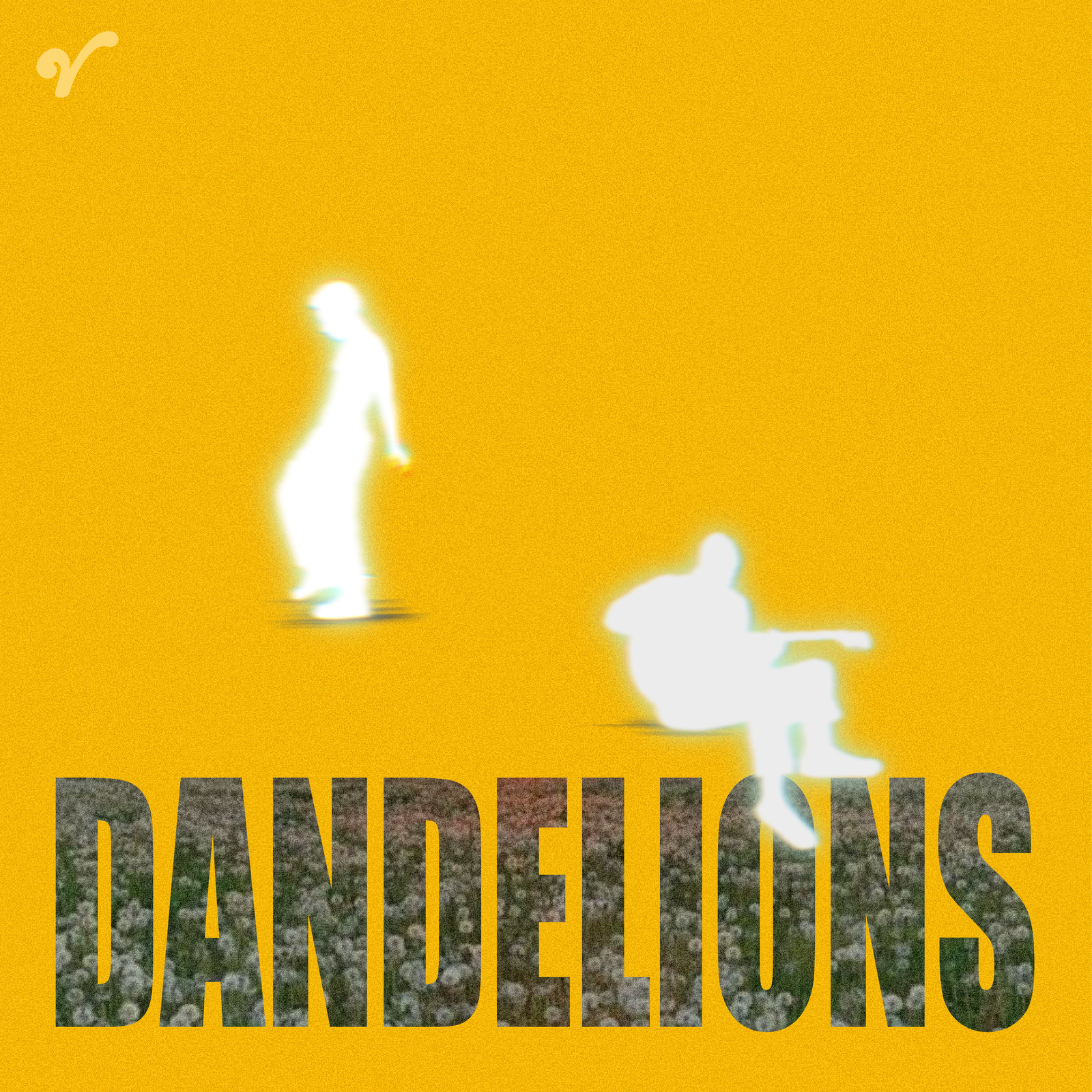 Dandelions