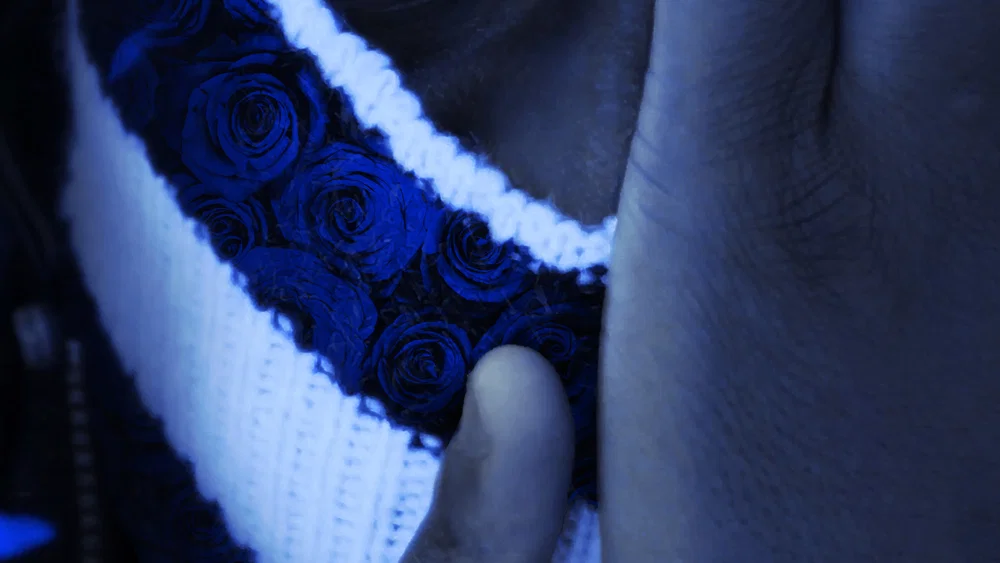 DE ROSÉ ACHTER HET MASKER background