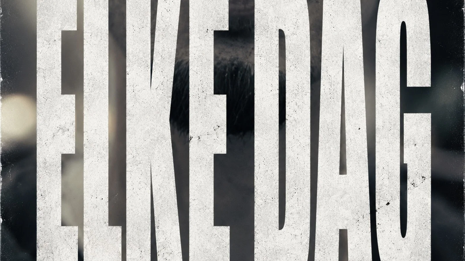 ELKE DAG background
