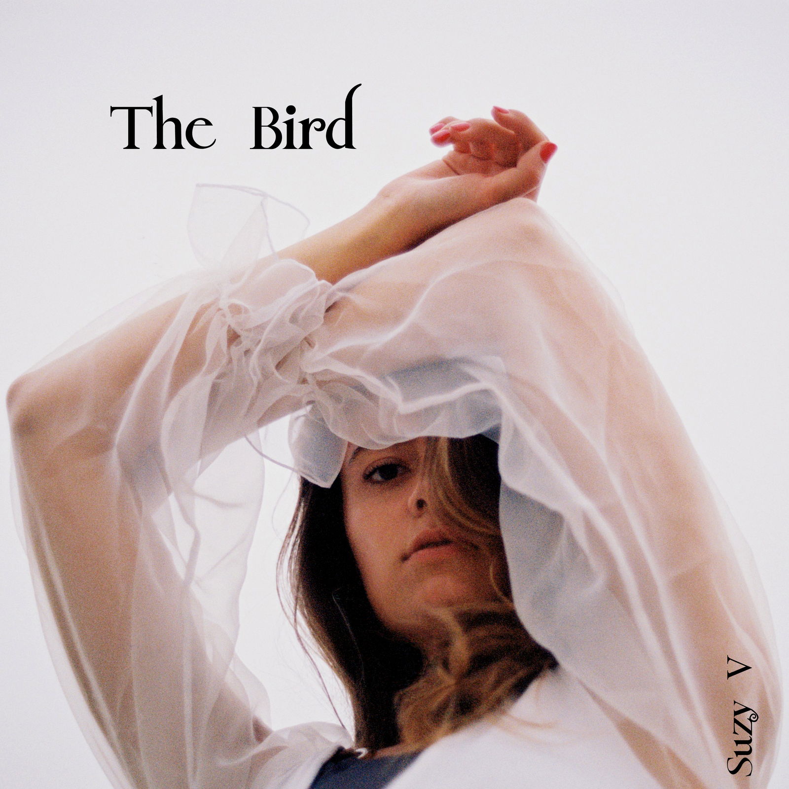 The Bird