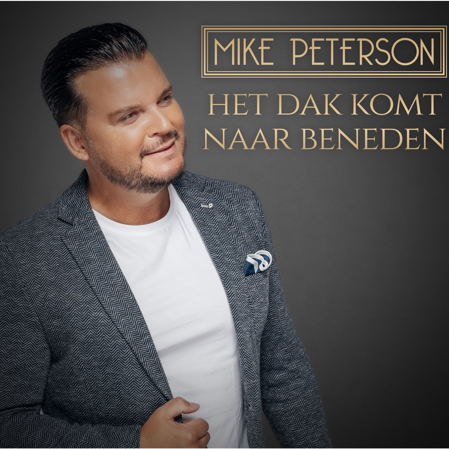 Het Dak Komt Naar Beneden
