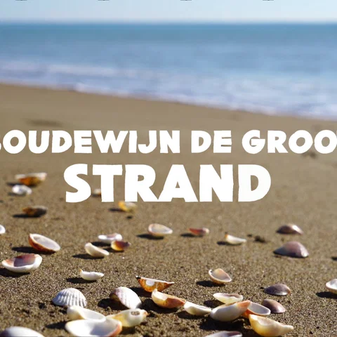 Strand - Lyric Video