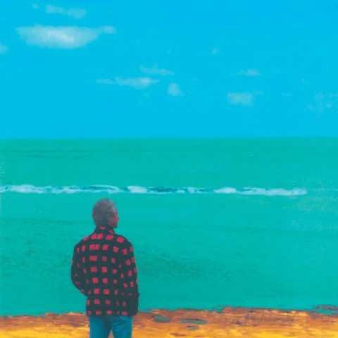 Een Wonderkind Aan Het Strand - 30 Jaar Boudewijn De Groot