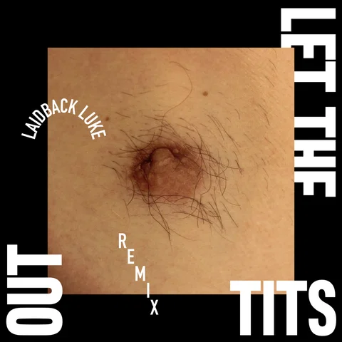 Let The Tits Out - Laidback Luke Remix