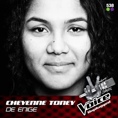 De Enige - From The Voice Unplugged @ 538