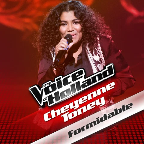 Formidable - From The Voice Of Holland