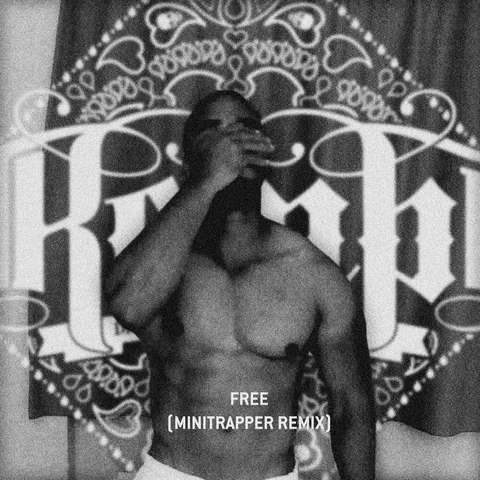 Free - Minitrapper Remix