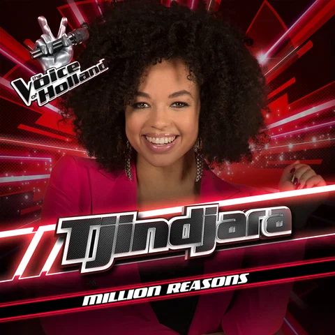 Million Reasons - From The Voice Of Holland Season 8