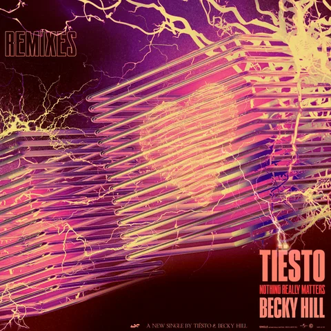 Nothing Really Matters - Remixes