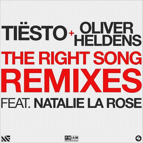 The Right Song - Remixes