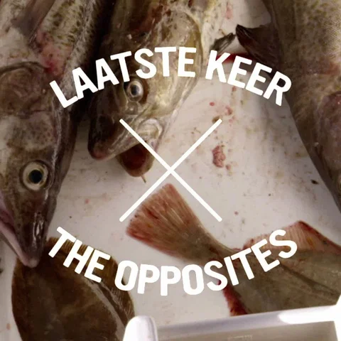 Laatste Keer