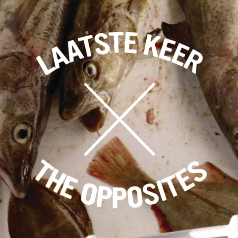 Laatste Keer - Mike Mago Remix