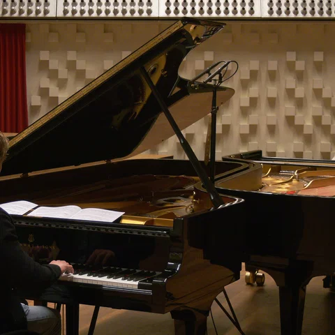 J.S. Bach: Matthäus-Passion, BWV 244: Aria: Aus Liebe will mein Heiland sterben (Arr. Anderson & Roe for 2 Pianos)