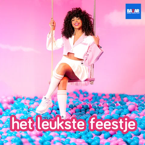 Het Leukste Feestje