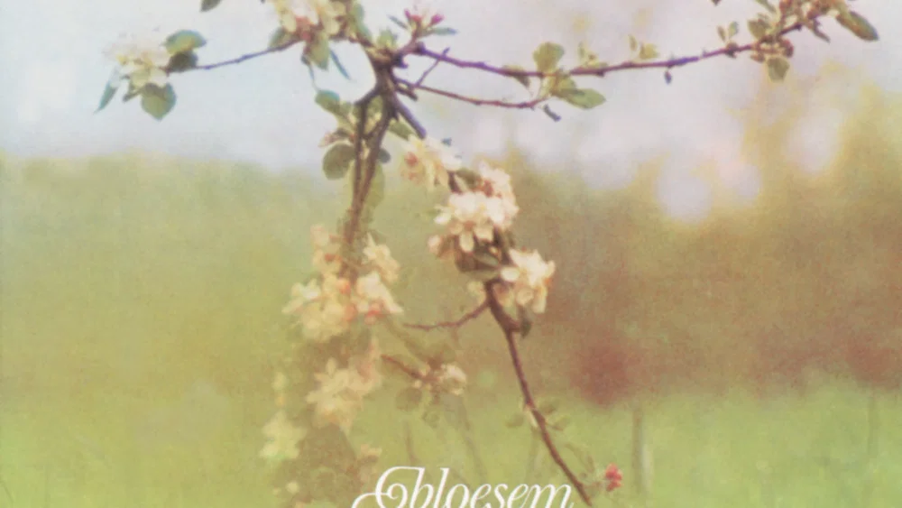 Bloesem background