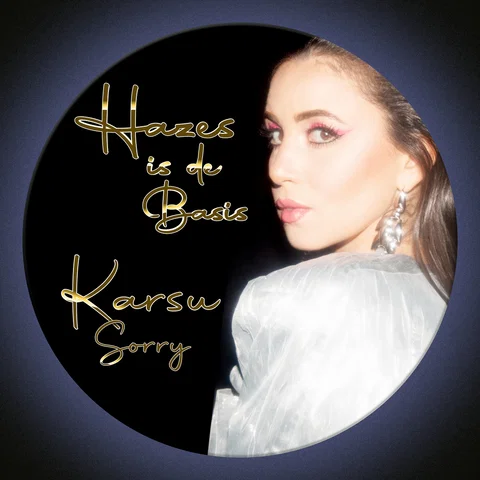 Sorry - Hazes Is De Basis