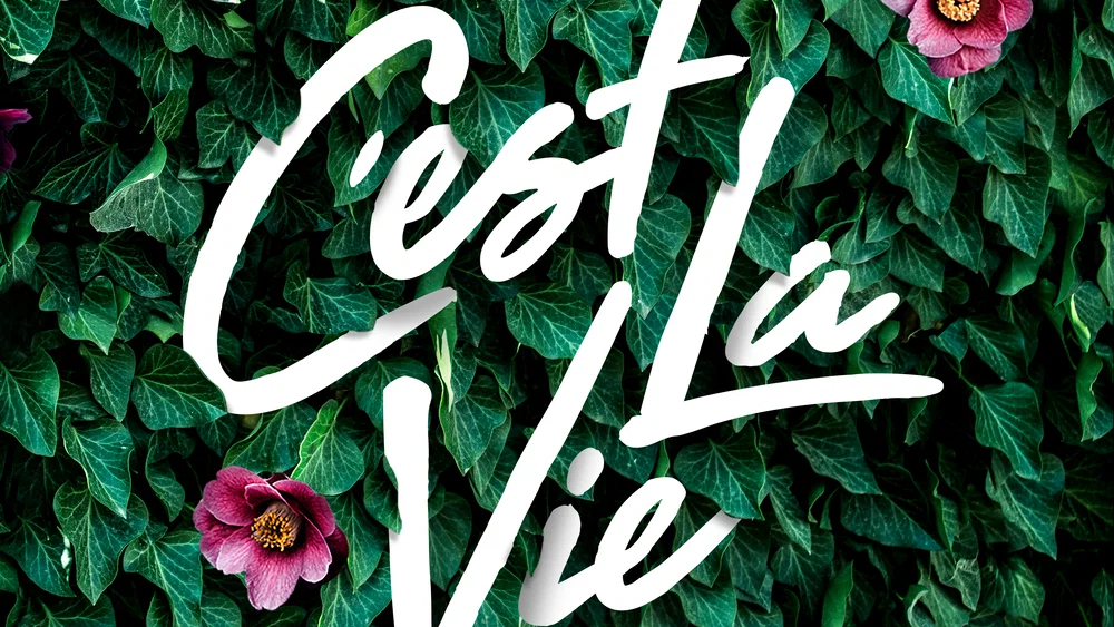C'est la vie background