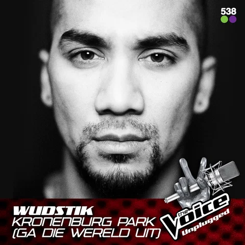 Kronenburg Park (Ga Die Wereld Uit) - From The Voice Unplugged @ 538