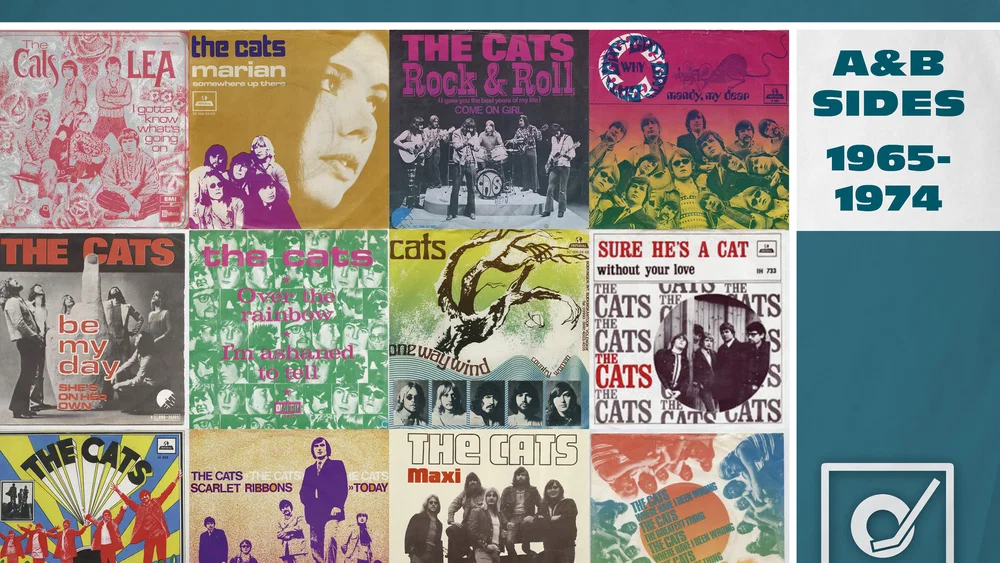 Golden Years Of Dutch Pop Music background
