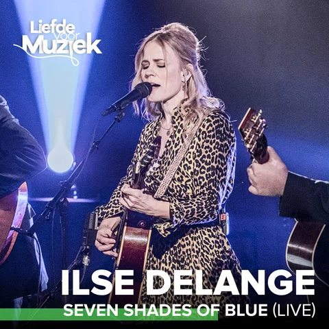 Seven Shades Of Blue - Live