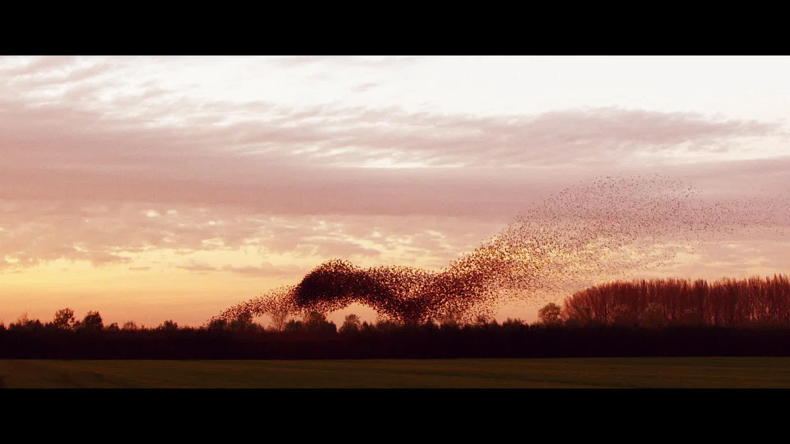 Mooi background