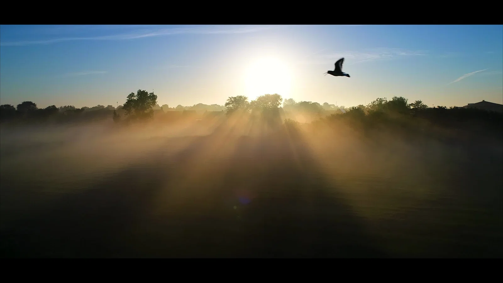 Alsof Je Vliegt background