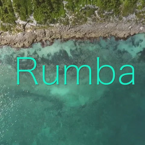 Rumba
