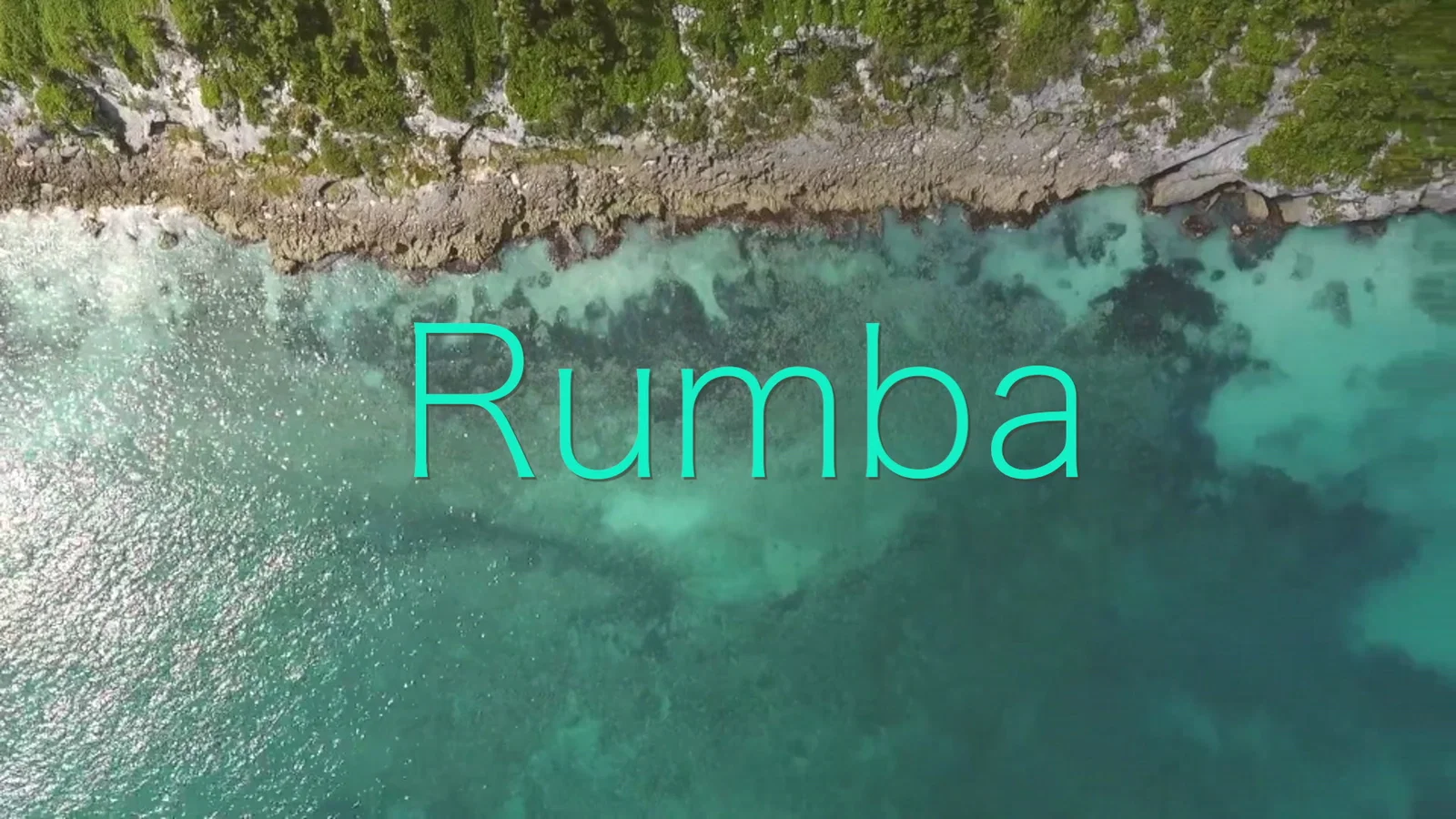 Rumba background
