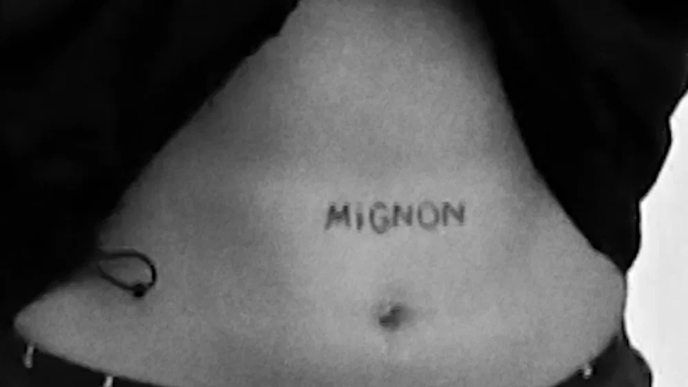 Freestyle Mignon background