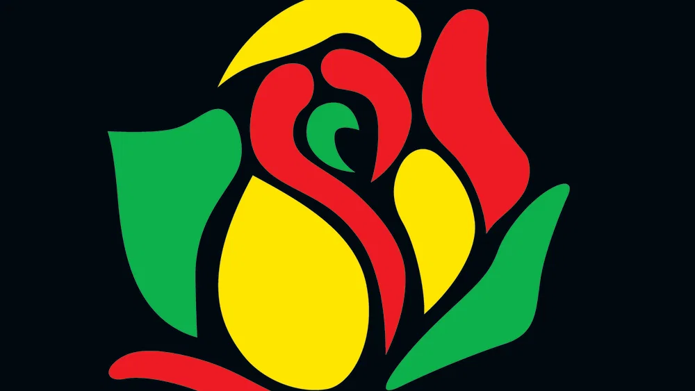 Mi Rowsu background