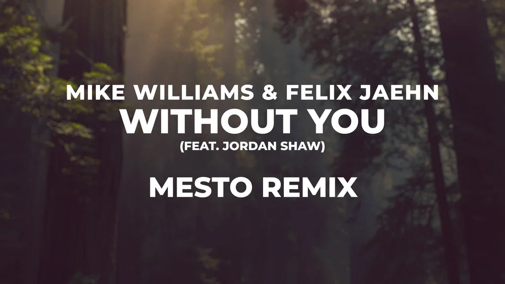 Without You - Mesto Remix background