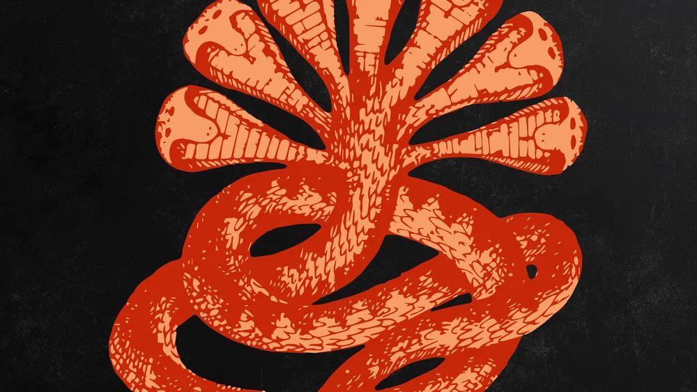 BABA GUY background