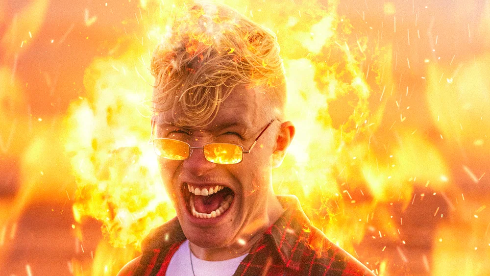 Meeuw background