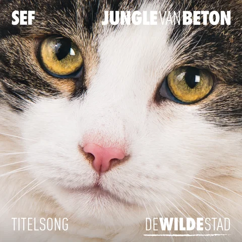 Jungle Van Beton - Titelsong "De Wilde Stad"