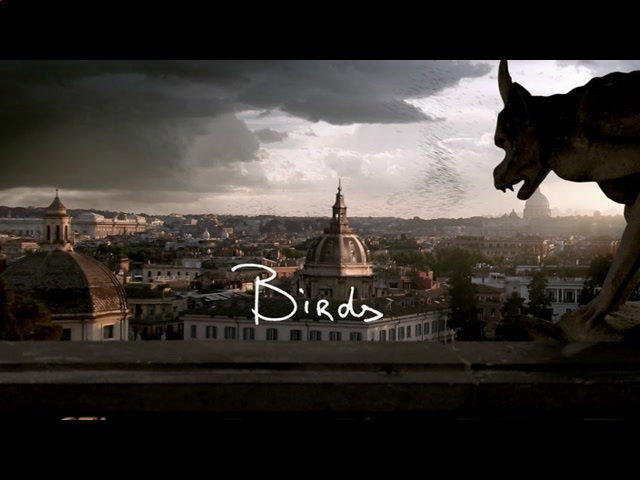 Birds