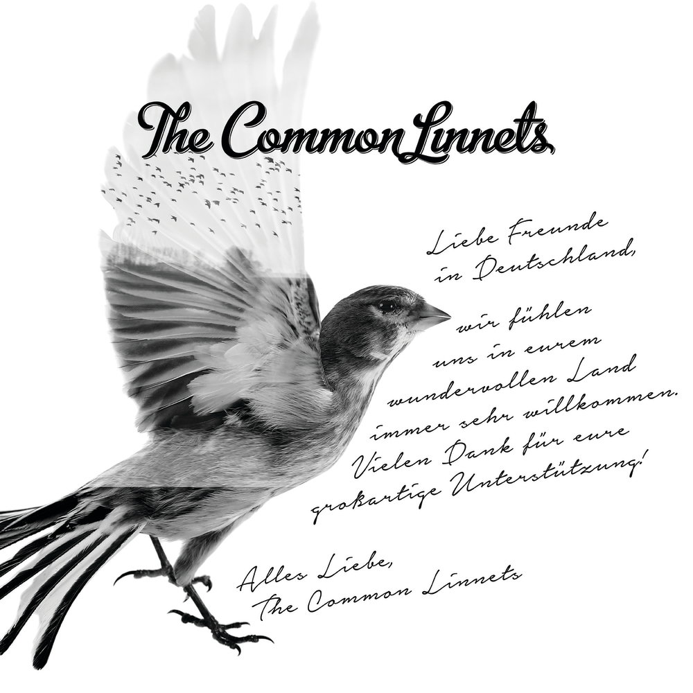 The Common Linnets - Special Edition