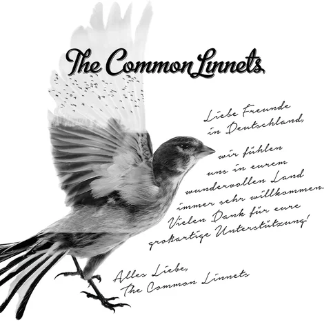 The Common Linnets - Special Edition