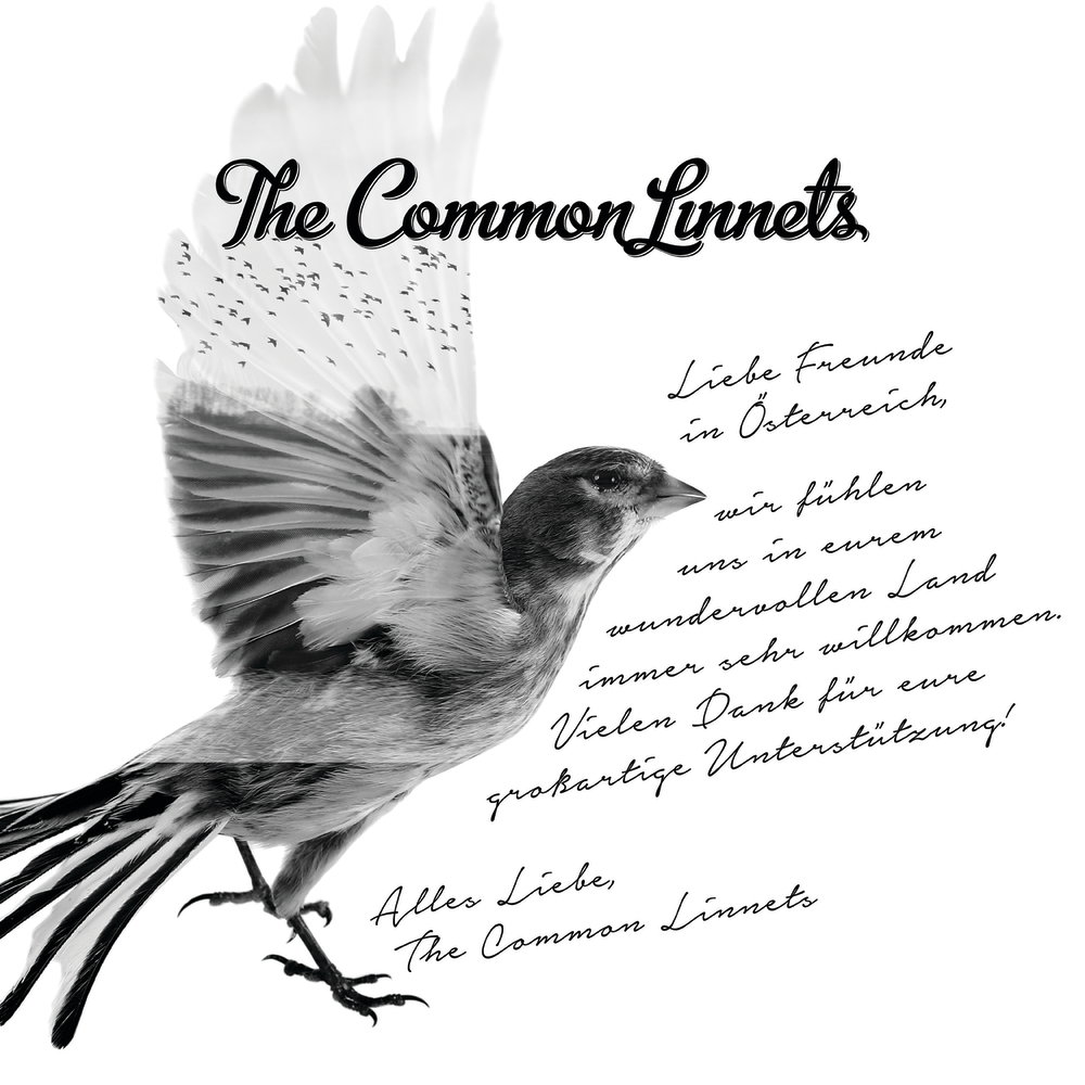 The Common Linnets - Special Edition