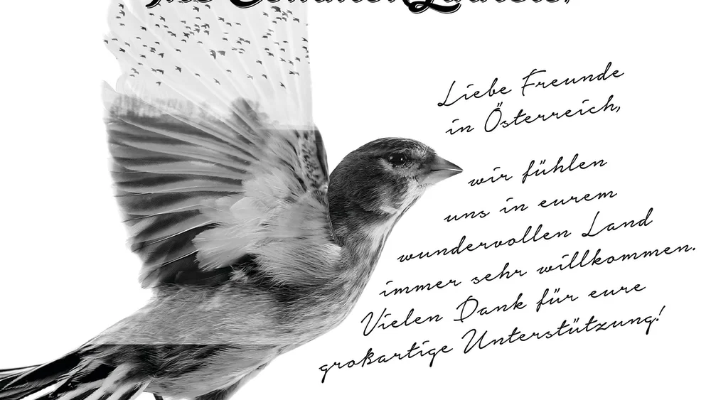 The Common Linnets - Special Edition background