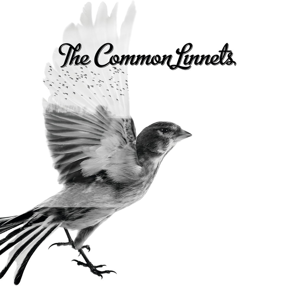 The Common Linnets - Special Edition
