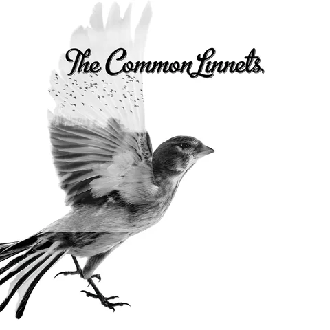 The Common Linnets - Special Edition