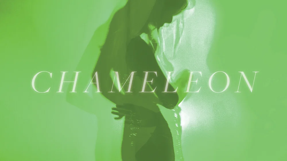 Chameleon background