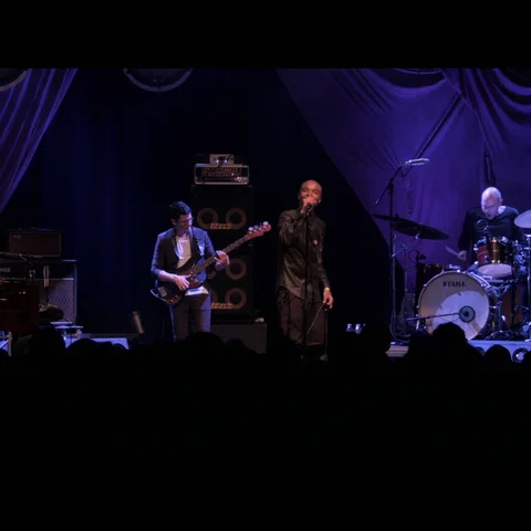Kiss The Ground - Live From Paard, Den Haag / 2016