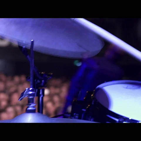 Pain - Live From Paard, Den Haag / 2016