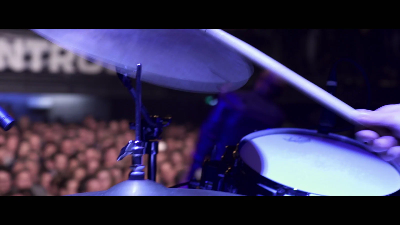 Pain - Live From Paard, Den Haag / 2016 background