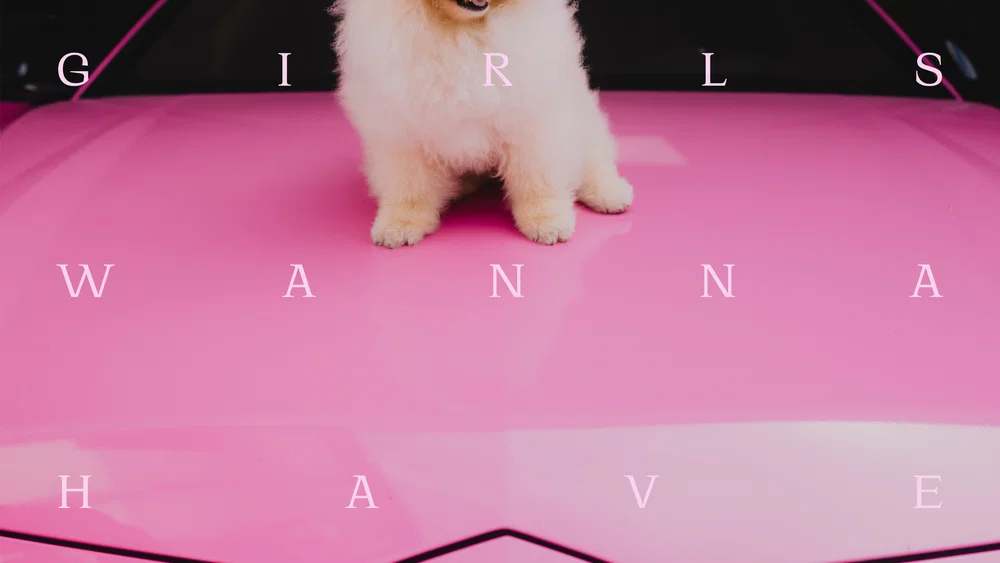 GIRLS WANNA HAVE FUN background