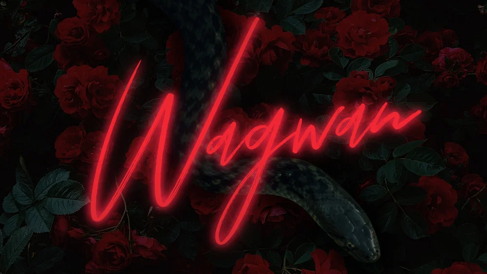 Wagwan background