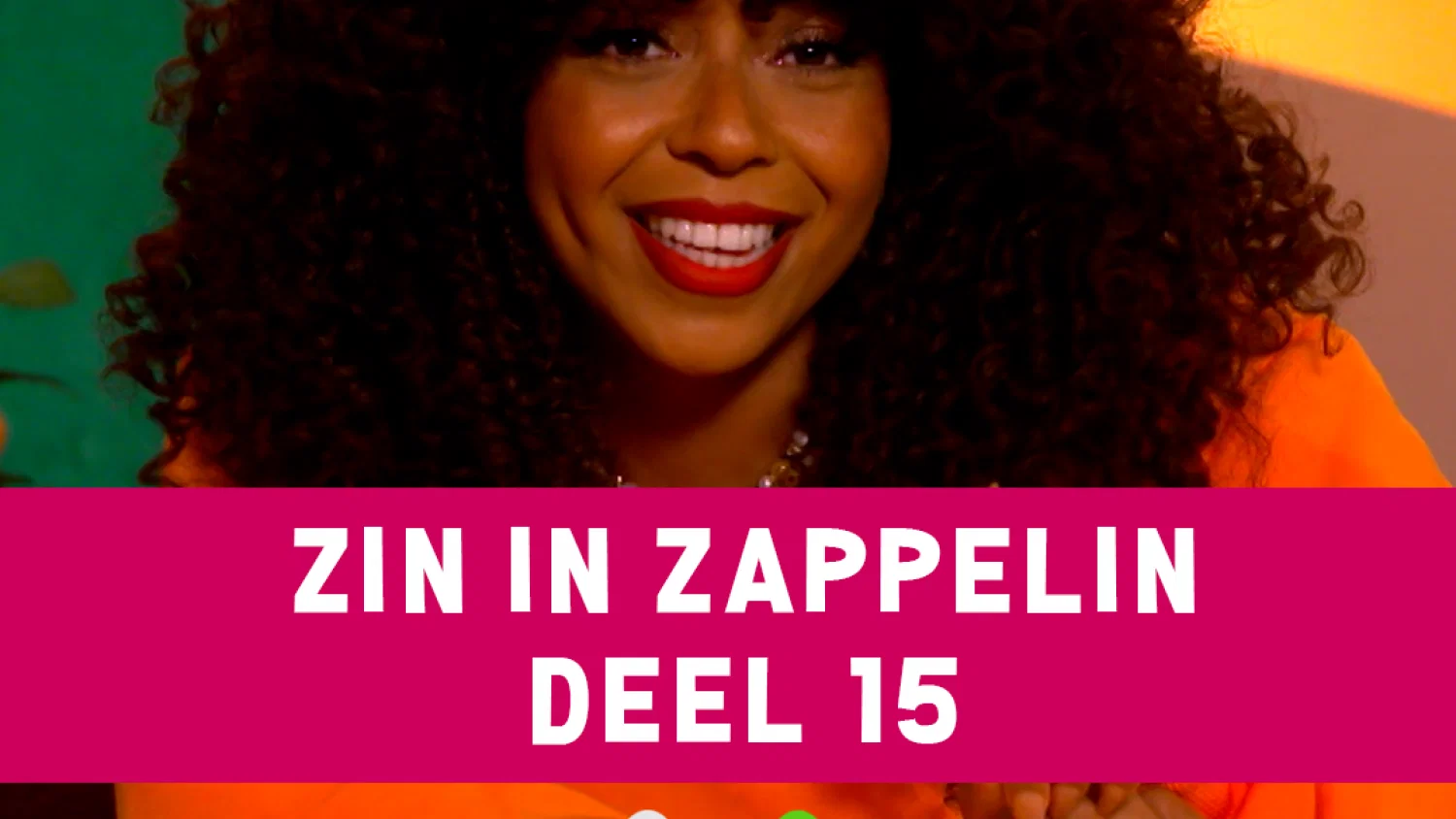 Zin In Zappelin Deel 15 bundel background