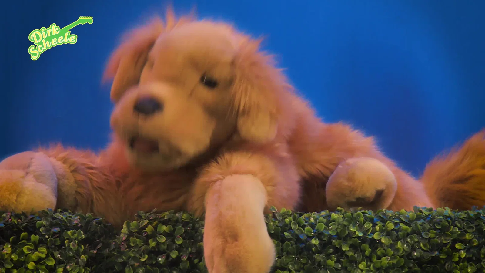 Doe De Hond Na background